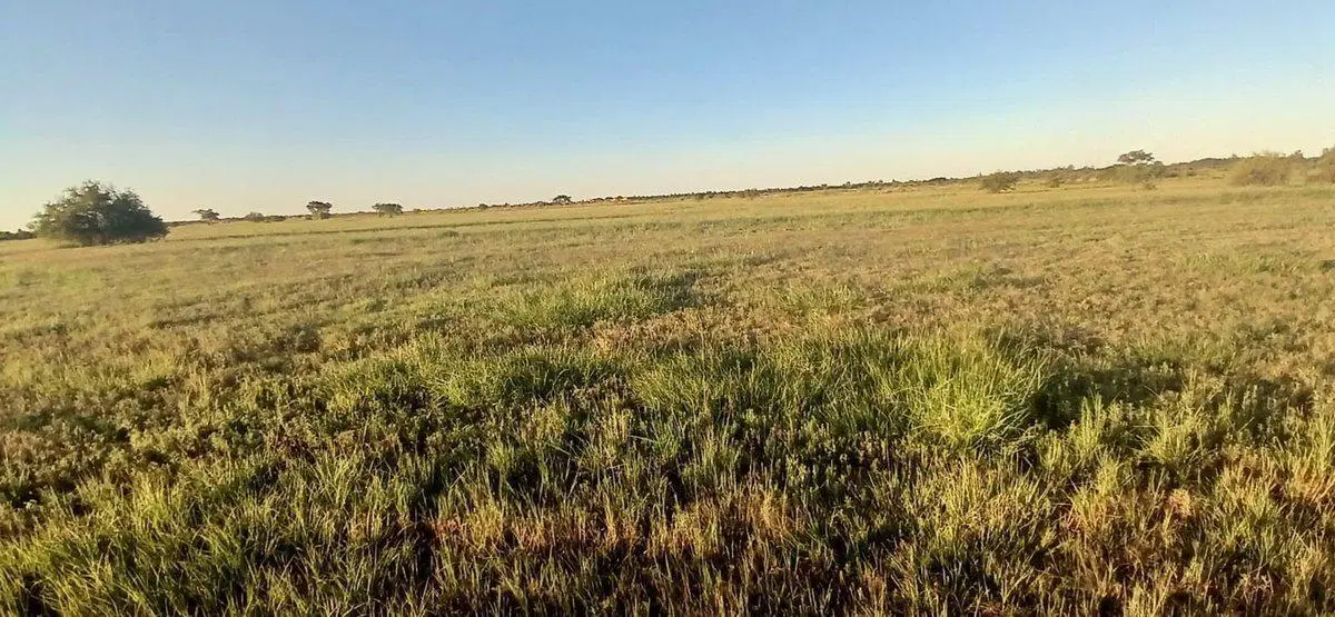 LOTES MZ. D EN VENTA DE 431M². LAVALLE CORRIENTES 4
