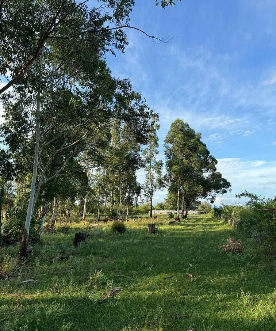 LOTE EN VENTA EN COLONIA CAROLINA 5