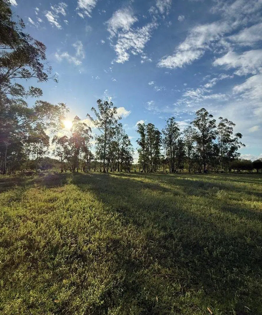 LOTE EN VENTA EN COLONIA CAROLINA 2