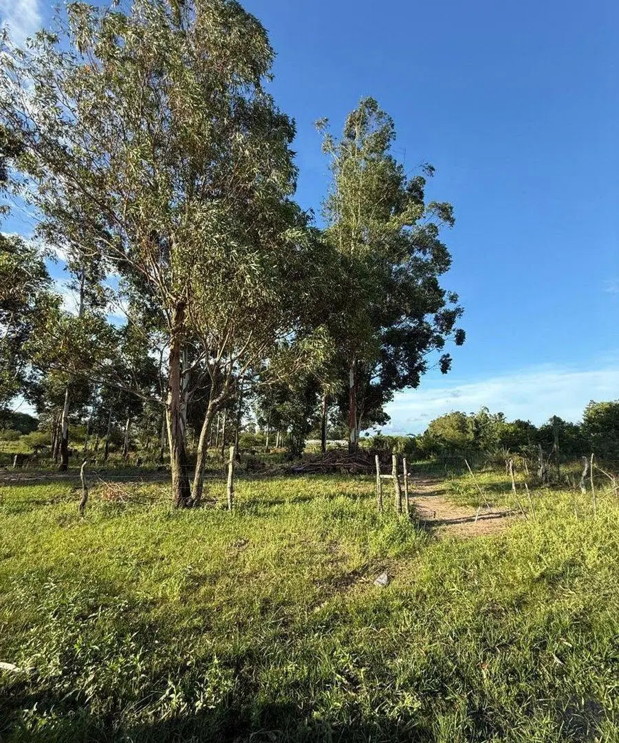 LOTE EN VENTA EN COLONIA CAROLINA 3