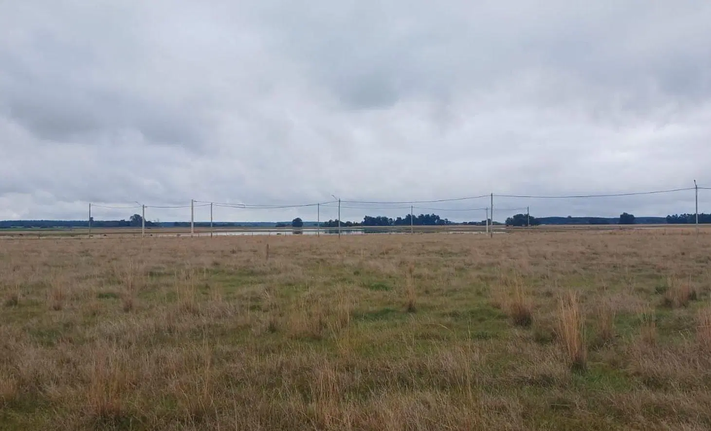 LOTES EN VENTA EN LOTEO ALTOS LAGUNA PUKU CAROLINA 2
