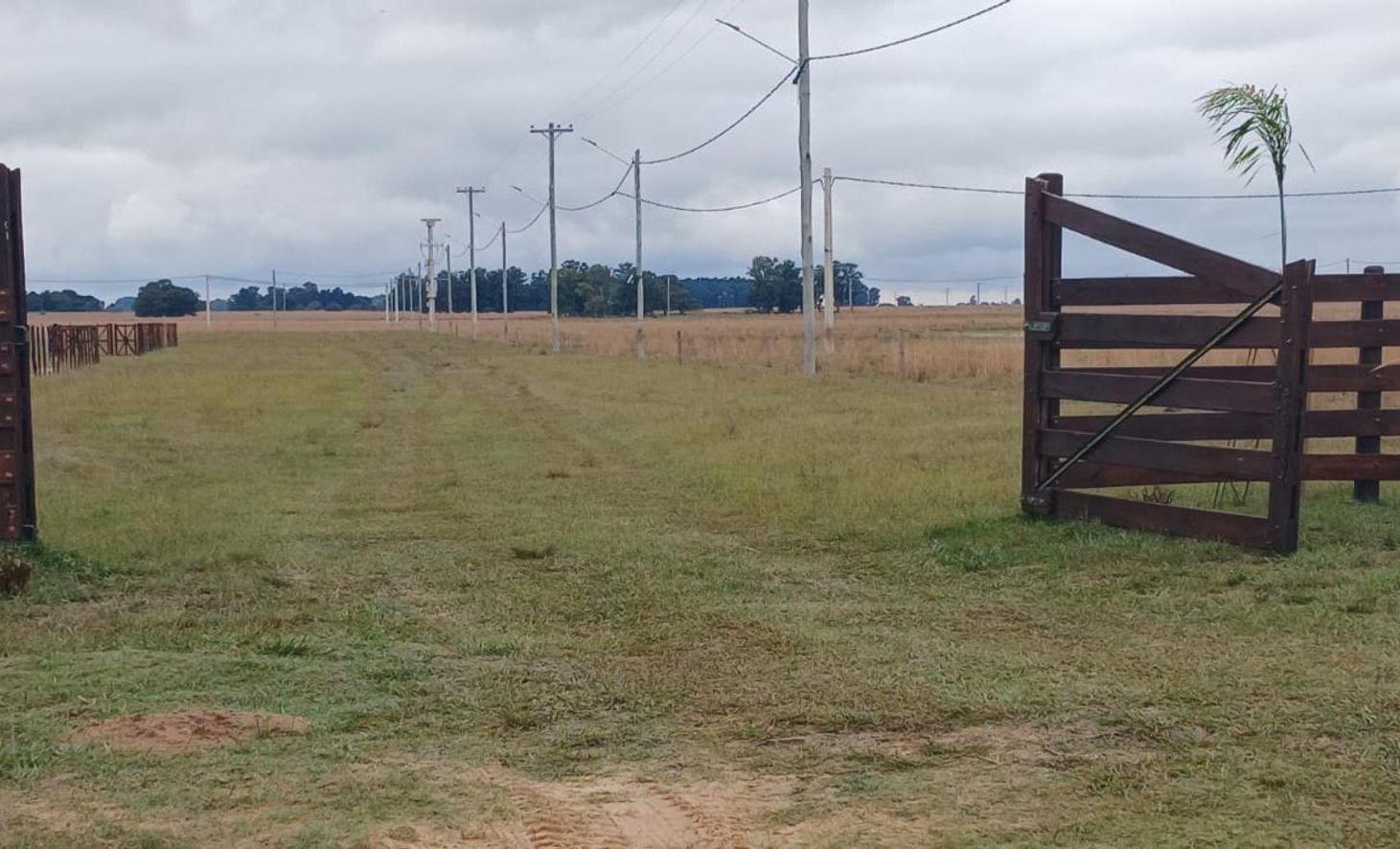 LOTES EN VENTA EN LOTEO ALTOS LAGUNA PUKU CAROLINA