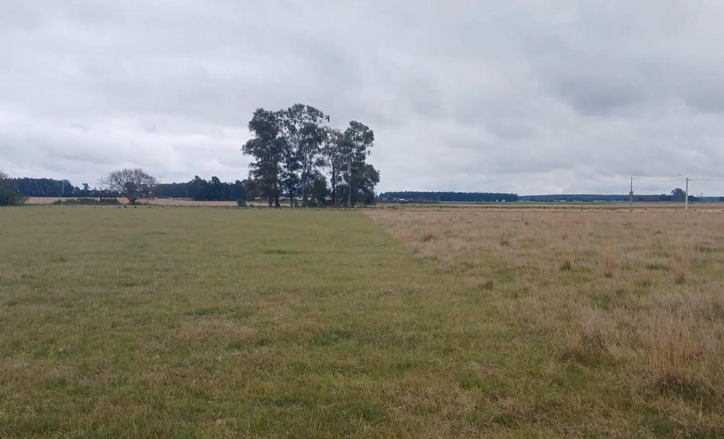 LOTES EN VENTA EN LOTEO ALTOS LAGUNA PUKU CAROLINA 3