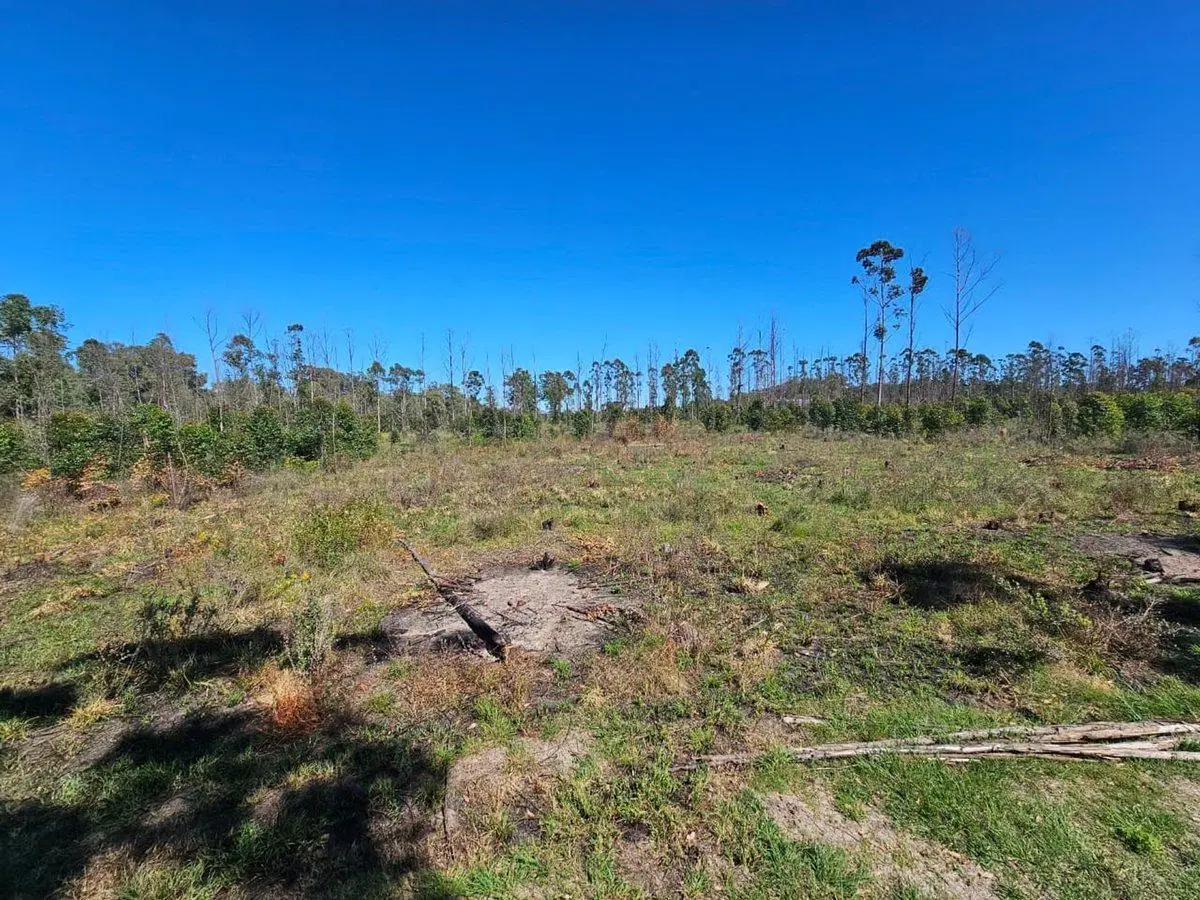 TERRENO EN VENTA CERCA DEL RIO EN C. ECHEVERRIA 3