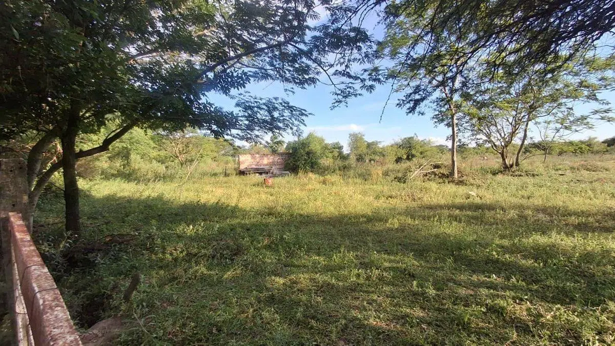 26.000 m2 de terreno en paraje la soledad Goya 5