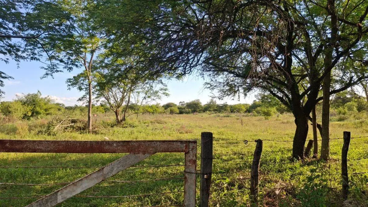 26.000 m2 de terreno en paraje la soledad Goya 3