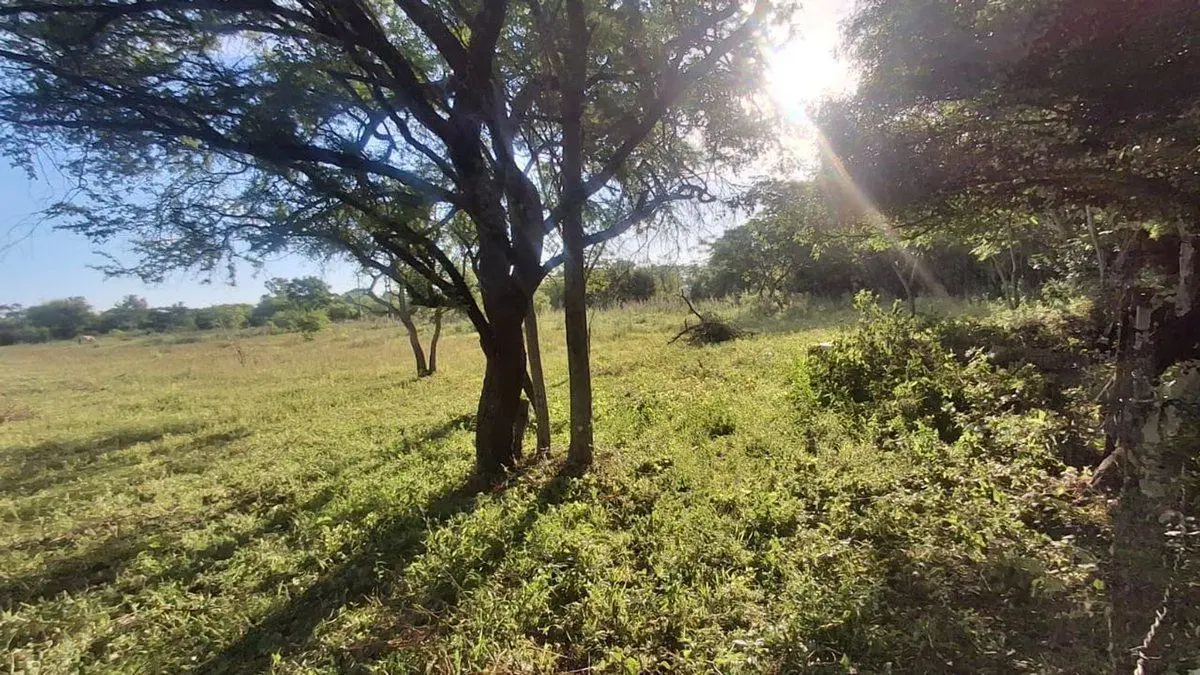 26.000 m2 de terreno en paraje la soledad Goya 4