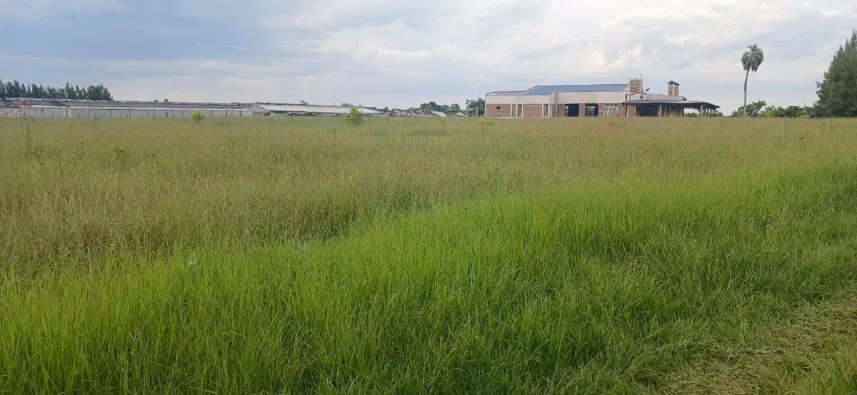 TERRENO EN VENTA DE 1053 M² EN COLONIA CAROLINA 2
