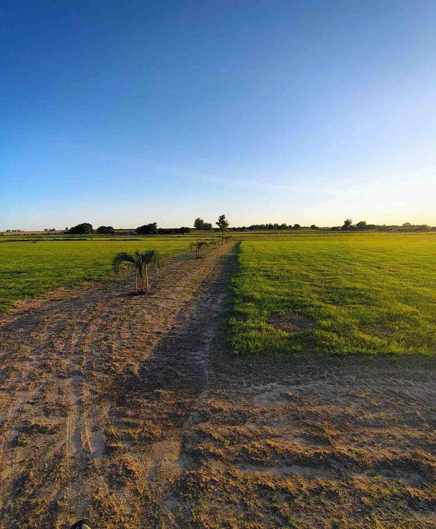 LOTES EN VENTA SOBRE RUTA 12 GOYA CTES 4