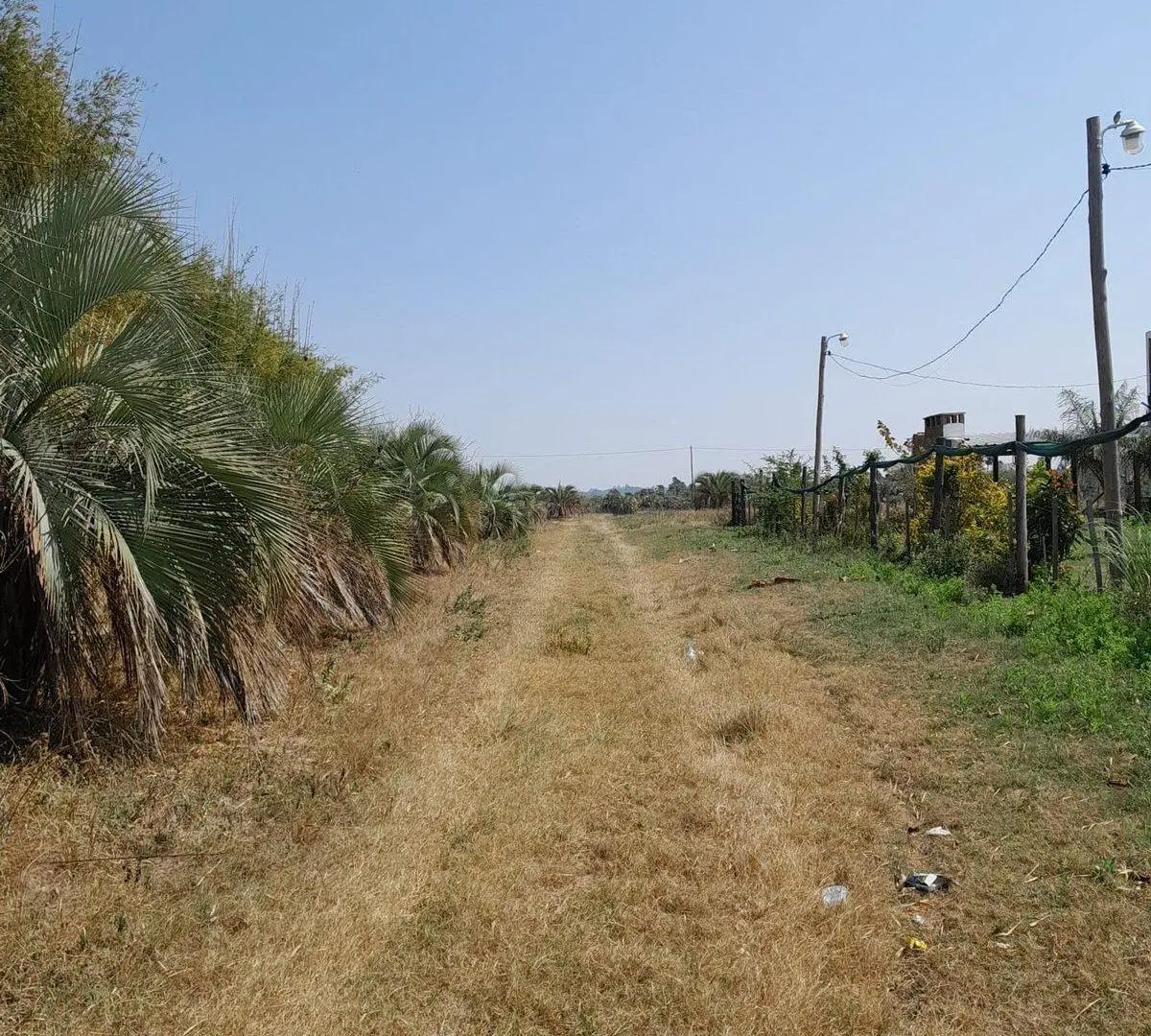 LOTE EN VENTA EN COLONIA CAROLINA 2