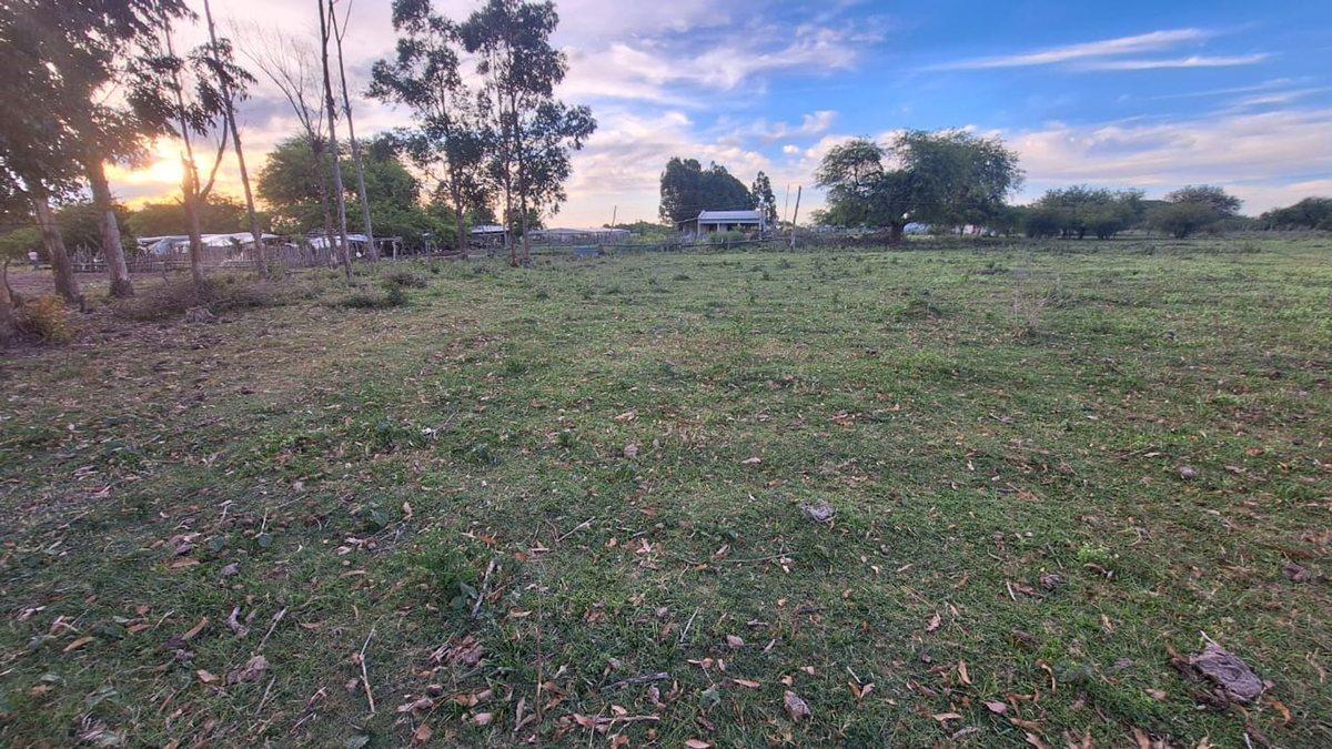 VENTA LOTE 1.178 M² PARAJE MORA CORRIENTES