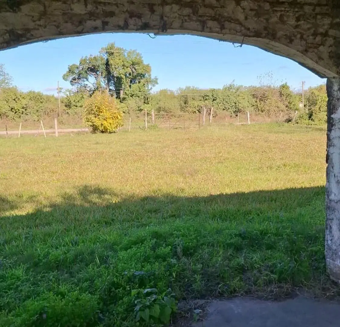 CASA DE CAMPO EN ALQUILER CON 3 HECTAREAS 5