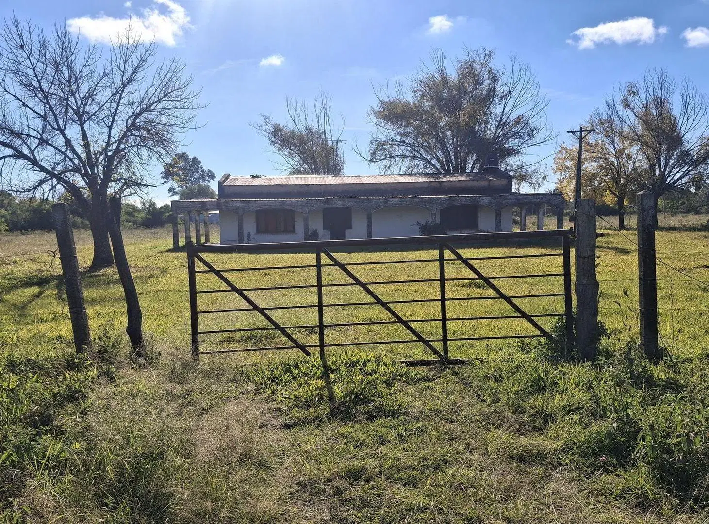 CASA DE CAMPO EN ALQUILER CON 3 HECTAREAS 3