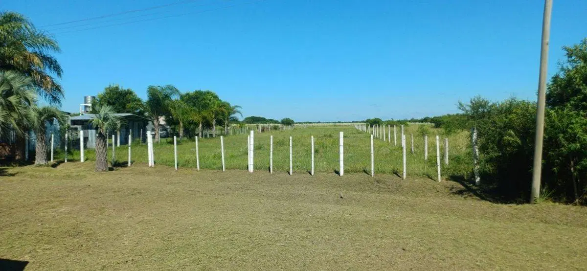 TERRENO EN VENTA, SOBRE RUTA 27, GOYA CORRIENTES 5