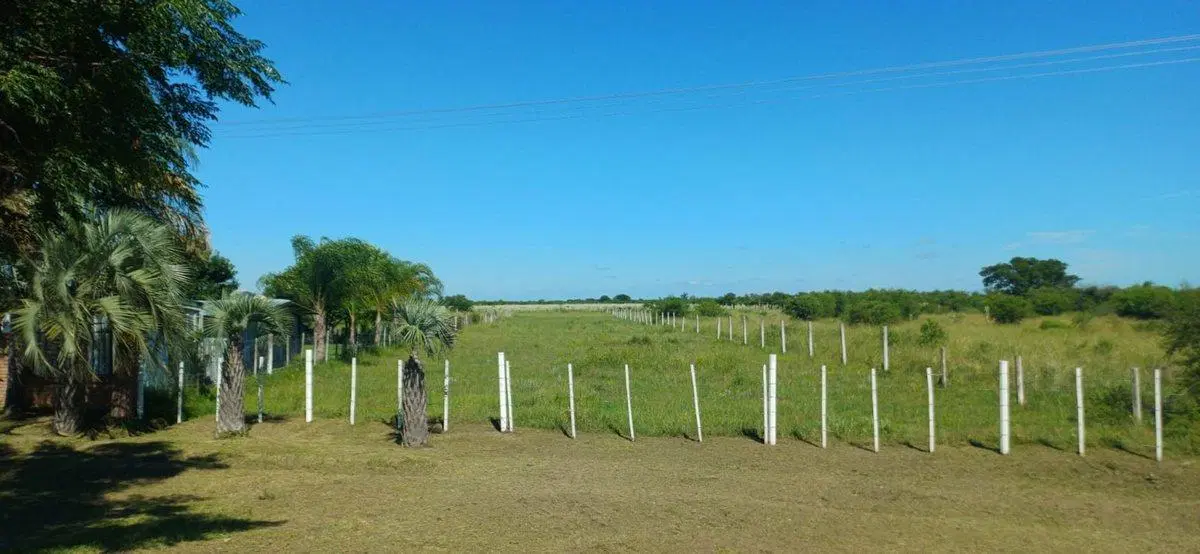 TERRENO EN VENTA, SOBRE RUTA 27, GOYA CORRIENTES 5