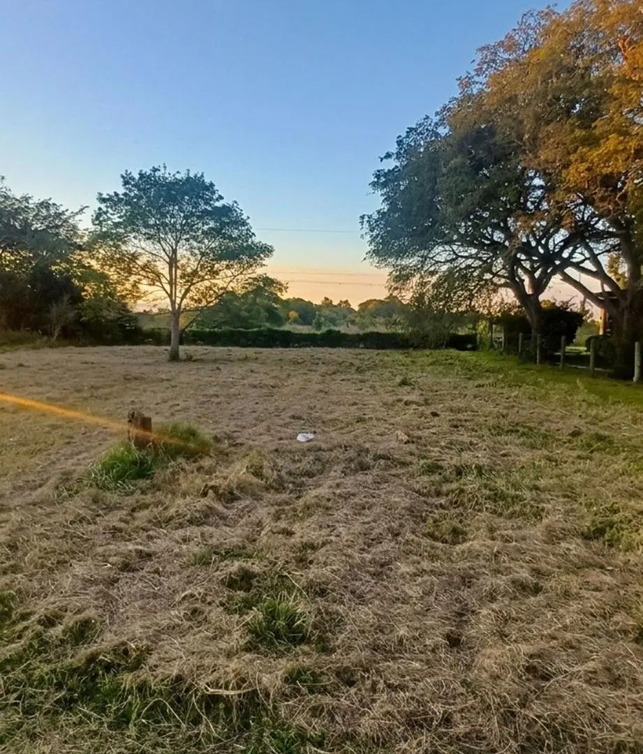 ¡Lote frente al Golf en Colonia Carolina! 3