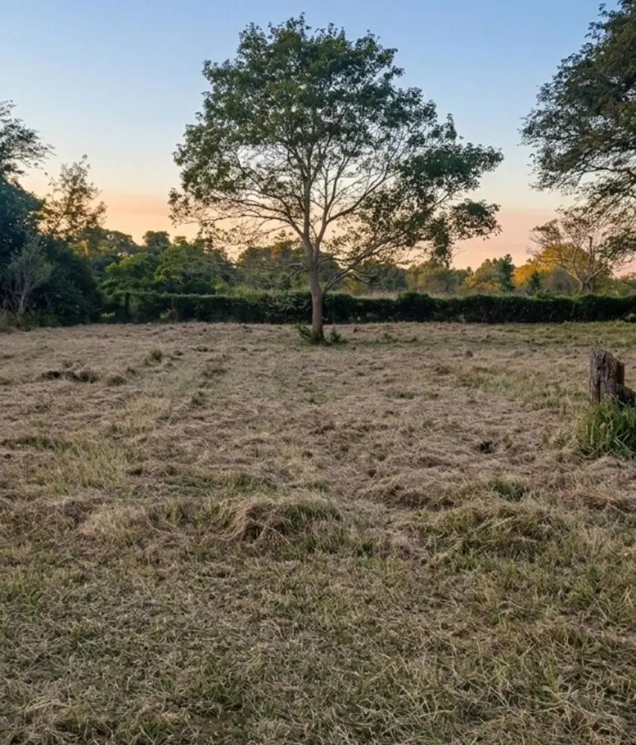 ¡Lote frente al Golf en Colonia Carolina! 6