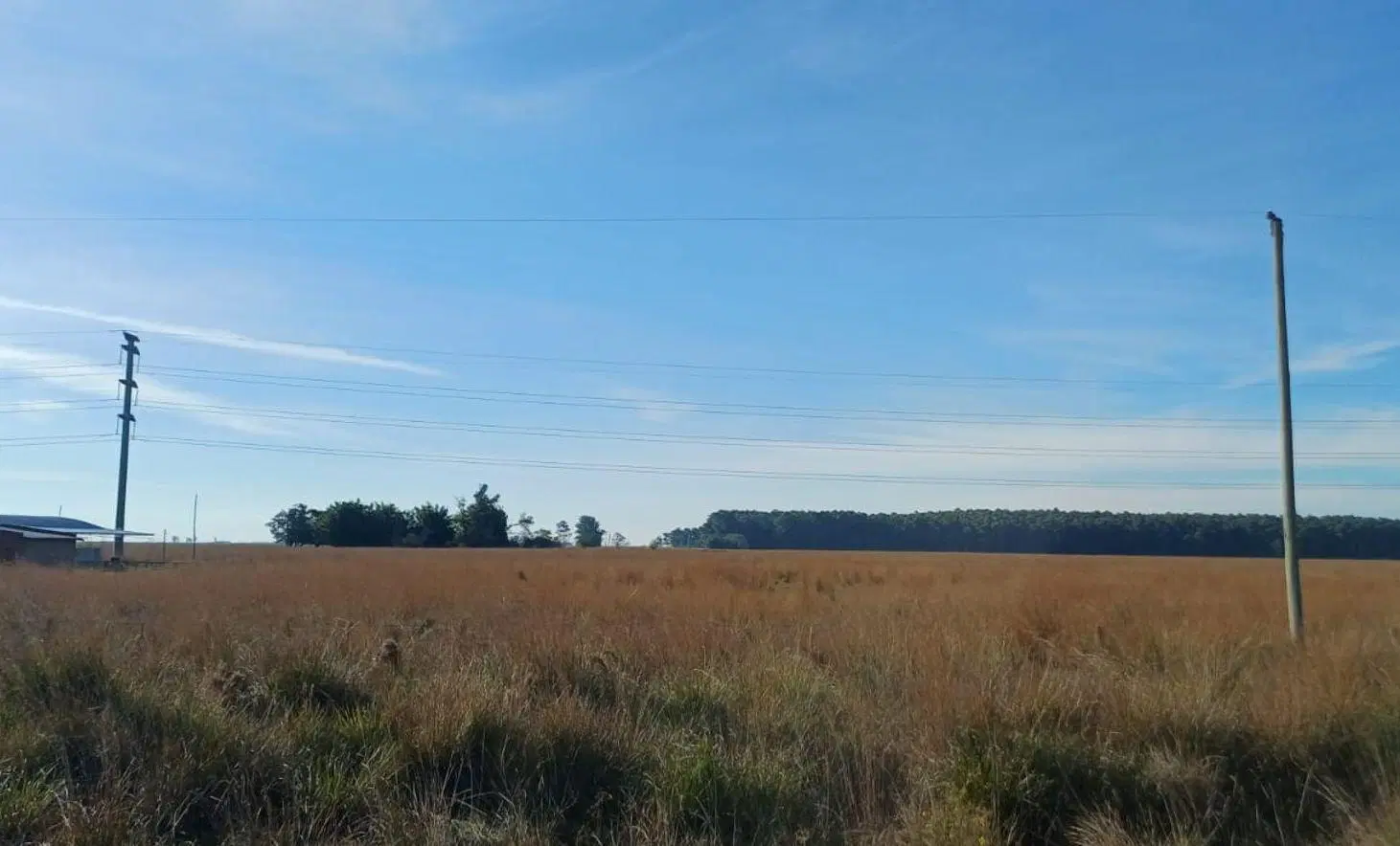 Terreno 4.5ha en Pje Batel, Sobre Ruta Nac. 12 3