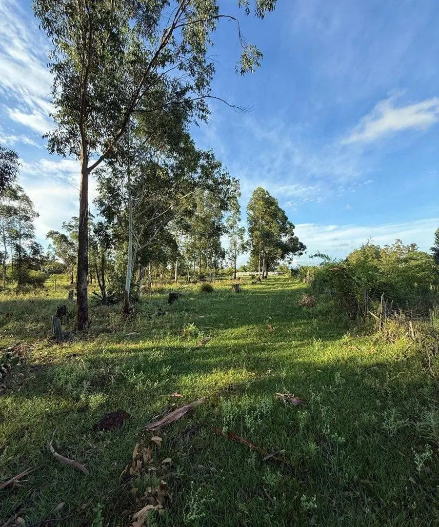 LOTE EN VENTA EN COLONIA CAROLINA 5