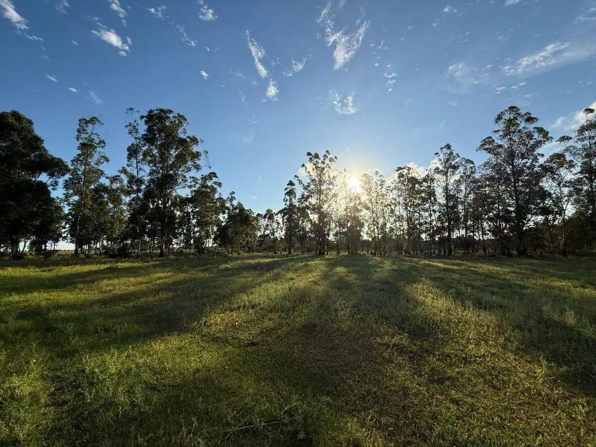 LOTE EN VENTA EN COLONIA CAROLINA 1