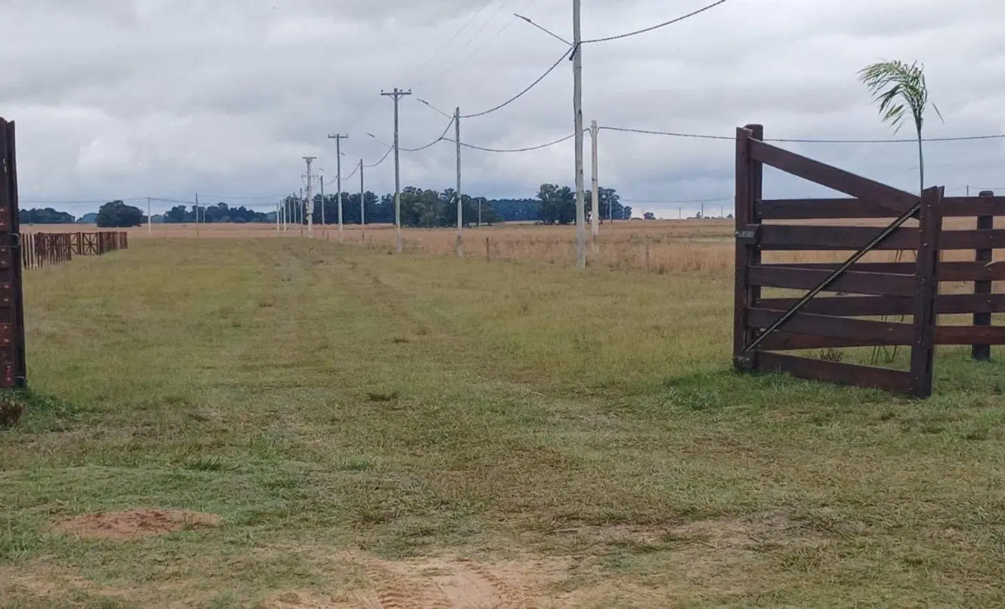 LOTES EN VENTA EN LOTEO ALTOS LAGUNA PUKU CAROLINA 3