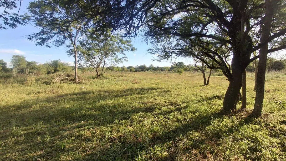 26.000 m2 de terreno en paraje la soledad Goya 2
