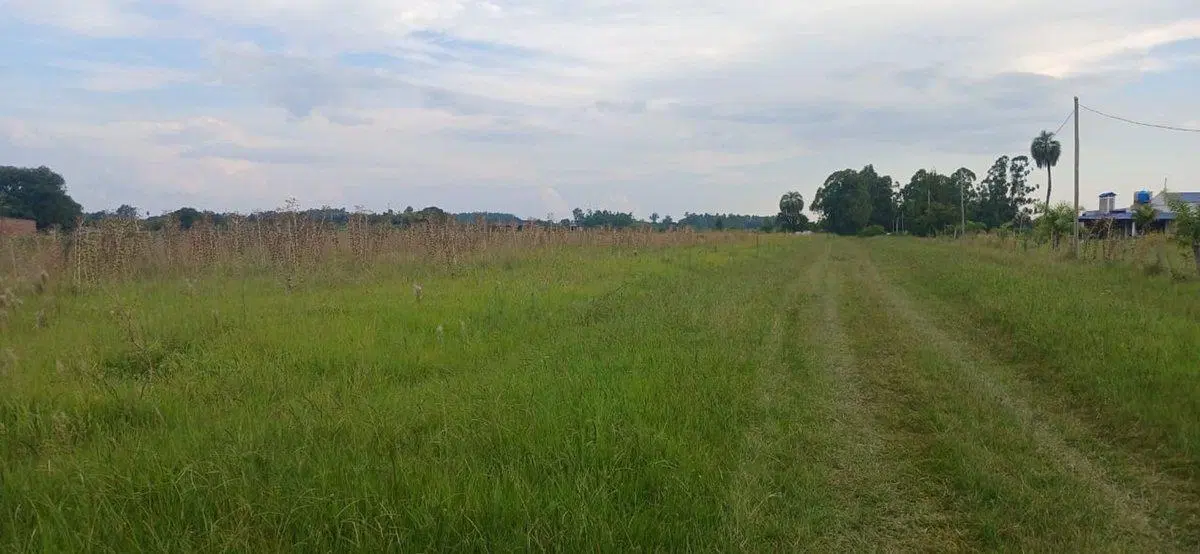 TERRENO EN VENTA DE 1053 M² EN COLONIA CAROLINA 2