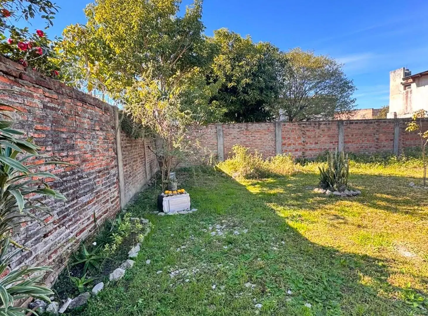 TERRENO EN VENTA EN EL CENTRO DE GOYA 3
