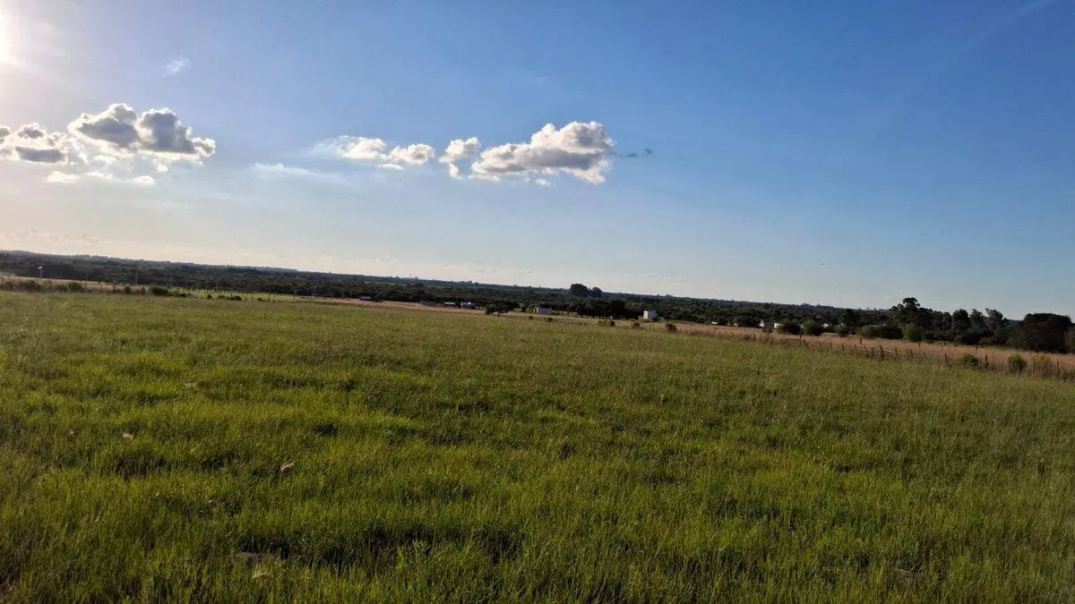 terreno de 1000m2 en carolina 700 mts de Ruta 12 2