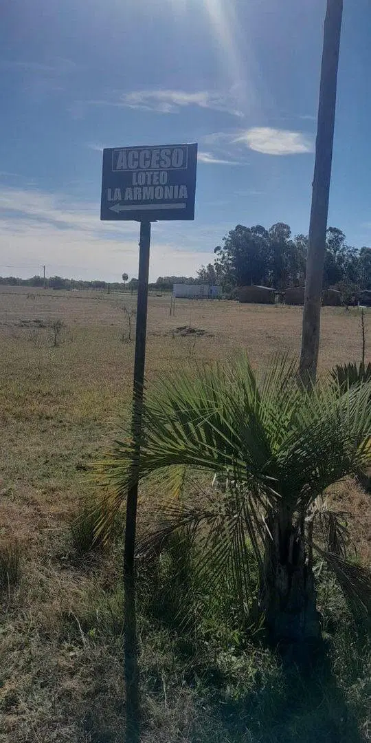 Lote en Venta, Loteo La Armonía, Colonia Carolina 2