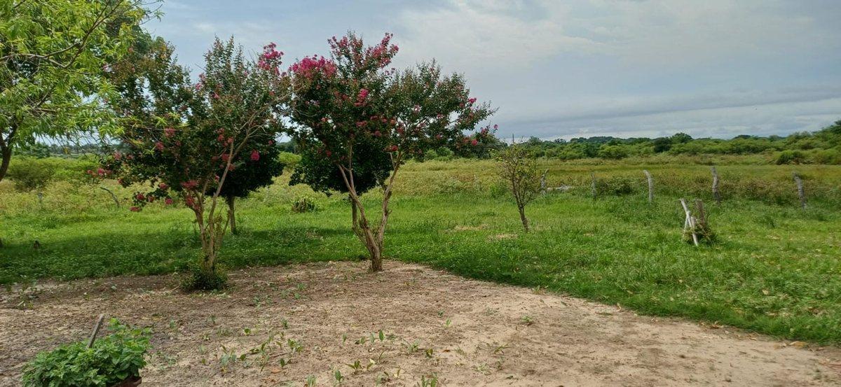 Foto de CASA EN VENTA CON 3 HECTAREAS, PJE SAN MARTIN, imagen 4
