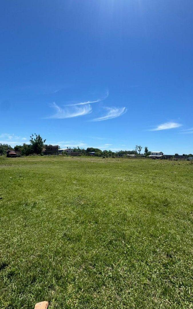 Foto de Lote en venta sobre ruta en Cnia. Carolina, imagen 3