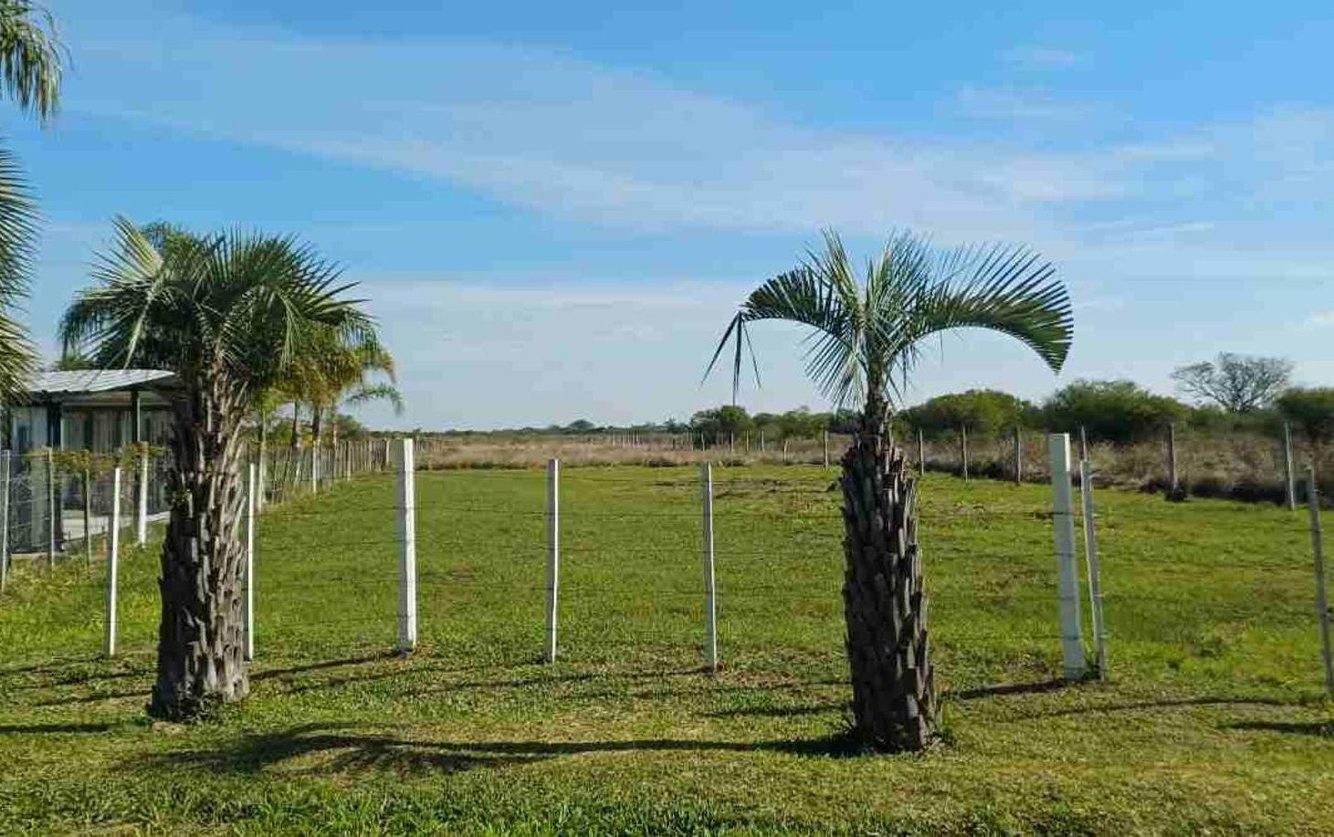 Foto de TERRENO EN VENTA, SOBRE RUTA 27, GOYA CORRIENTES, imagen 5