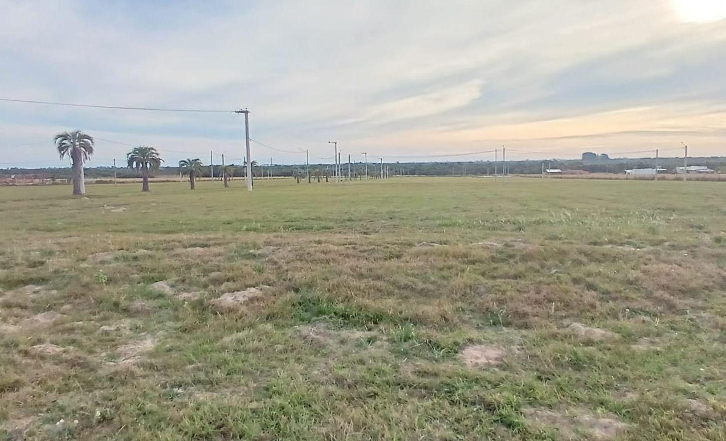 Foto de TERRENO DE 1.102 m² EN VENTA – COLONIA CAROLINA, imagen 4