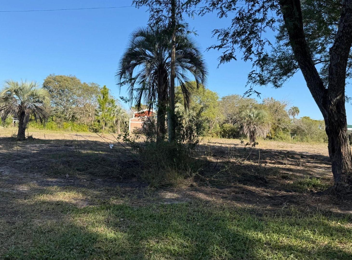 Foto de LOTE EN VENTA EN CAROLINA CORRIENTES, imagen 1