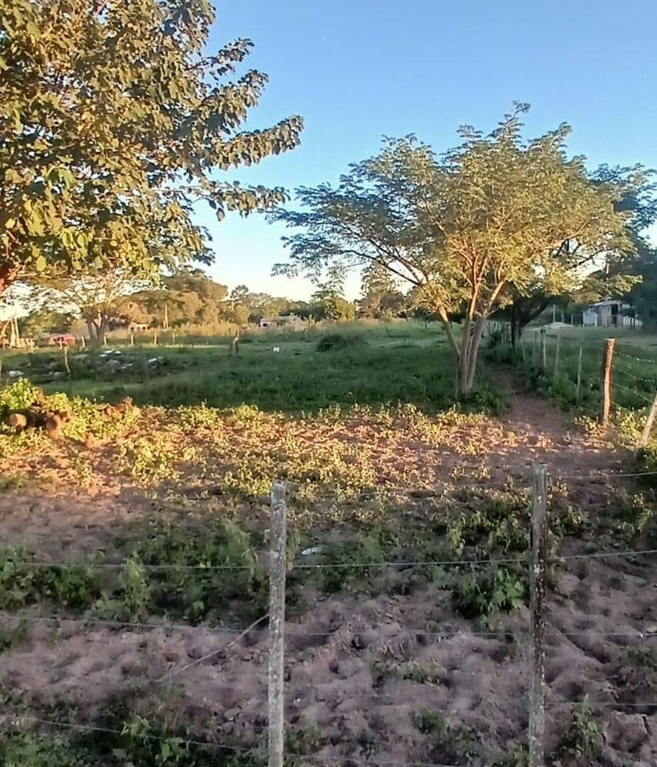 Foto de Terreno en venta en Yatay Ti Calle, imagen 3