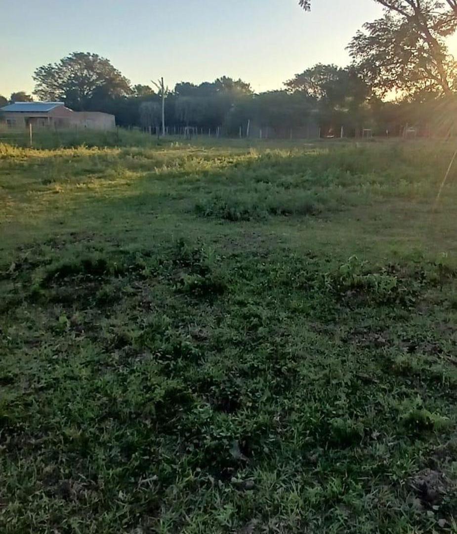 Foto de Terreno en venta en Yatay Ti Calle, imagen 1