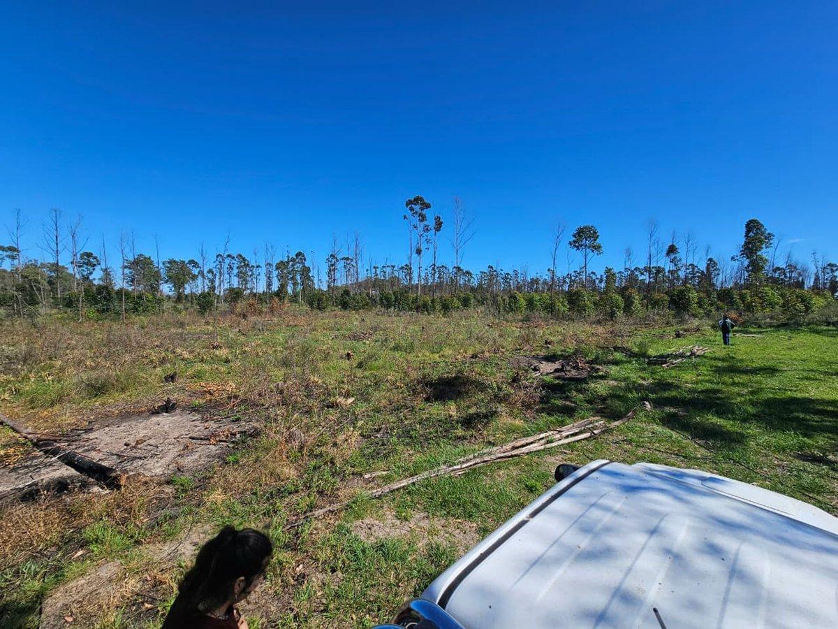 Foto de TERRENO EN VENTA CERCA DEL RIO CON FINANCIACION, imagen 4
