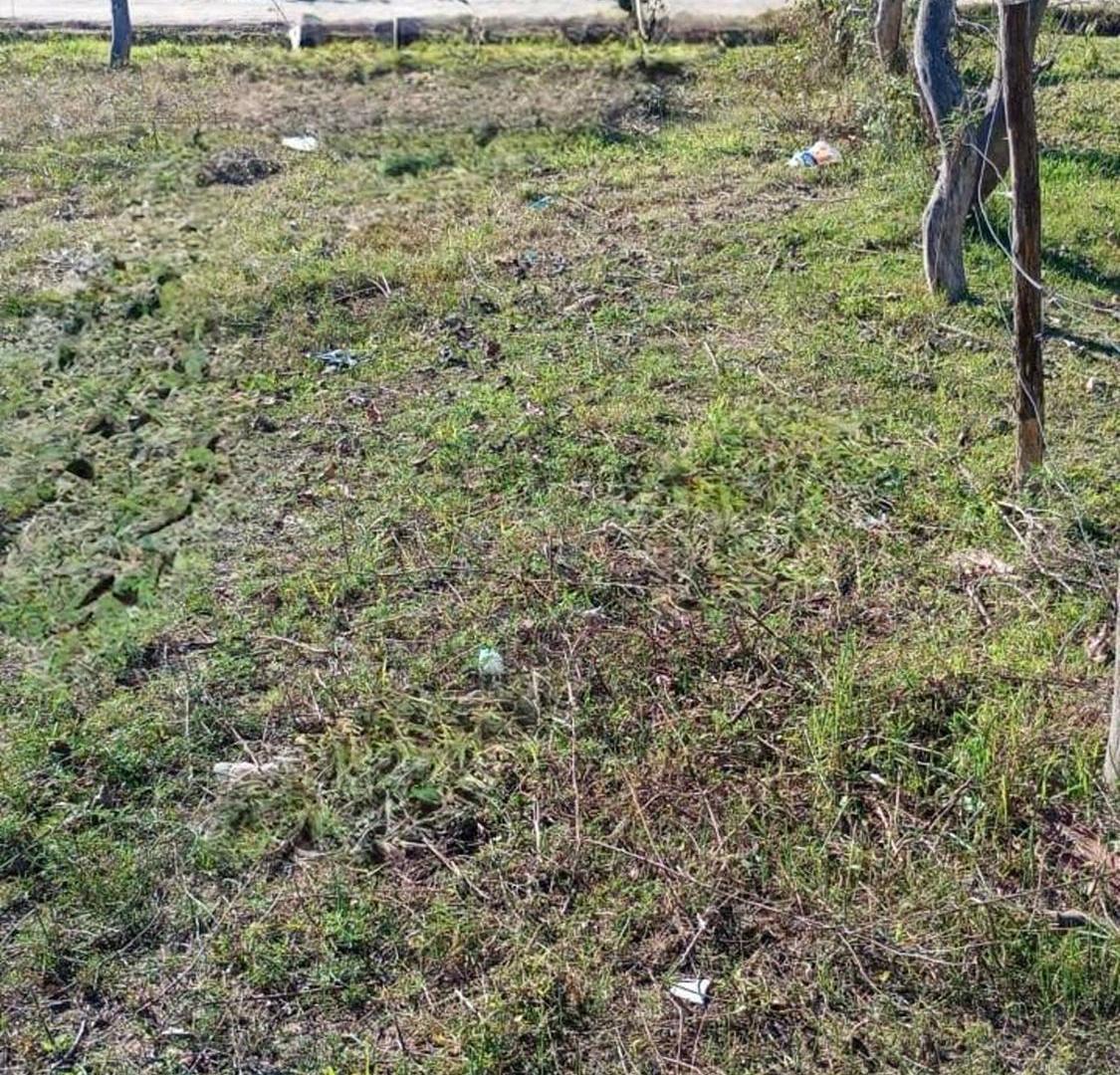 Foto de TERRENO EN VENTA GOYA CORRIENTES, imagen 2