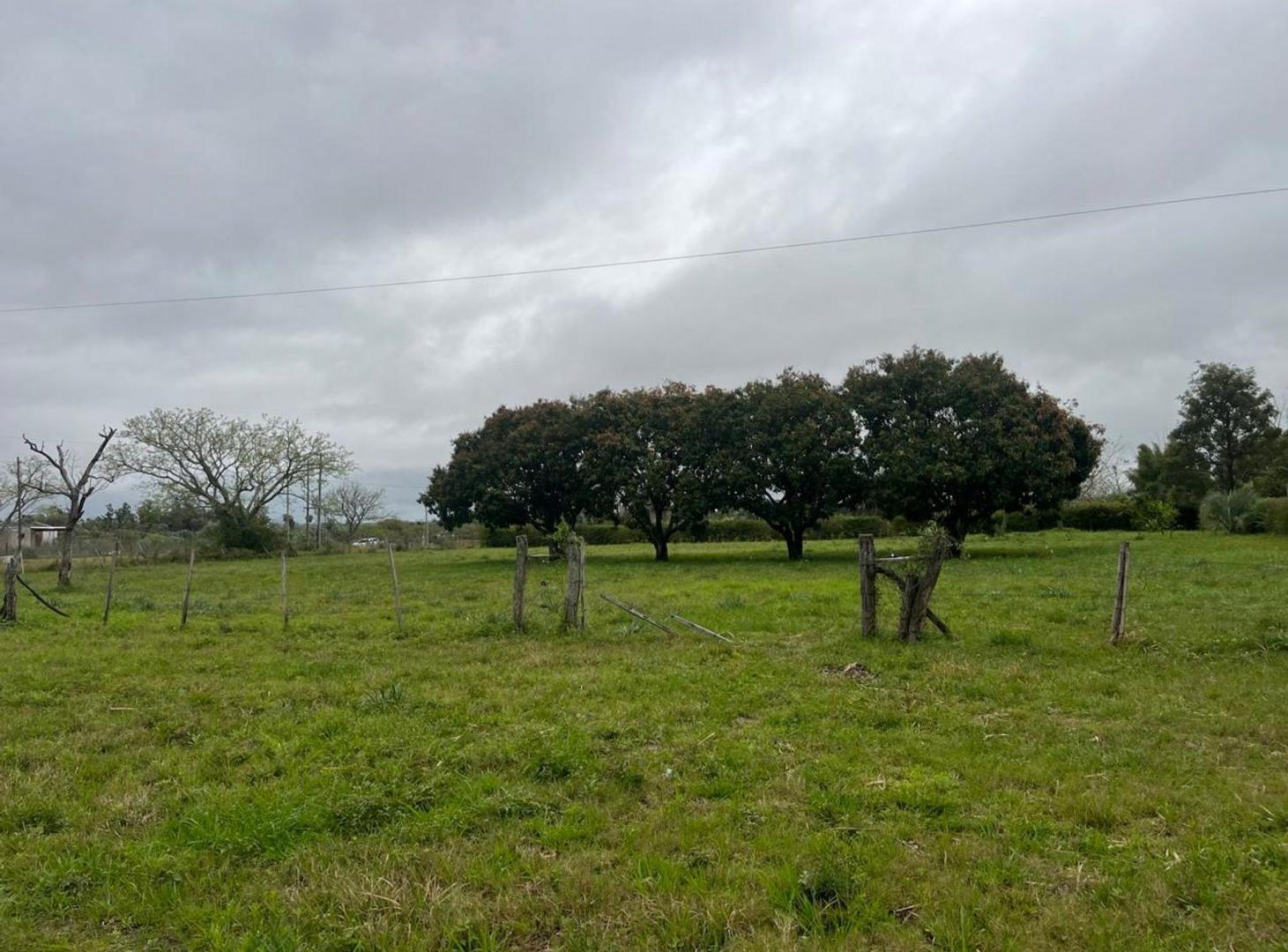 Foto de TERRENO DE 2500 M2 EN VENTA, imagen 1
