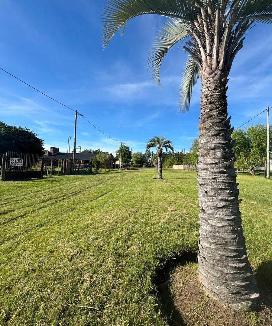 Foto de EL MIRADOR | LOTE EN VENTA | 50% + FINANCIACIÓN, imagen 3