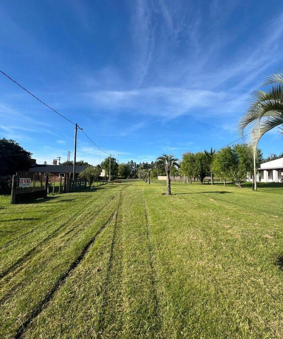 Foto de EL MIRADOR | LOTE EN VENTA | 50% + FINANCIACIÓN, imagen 4