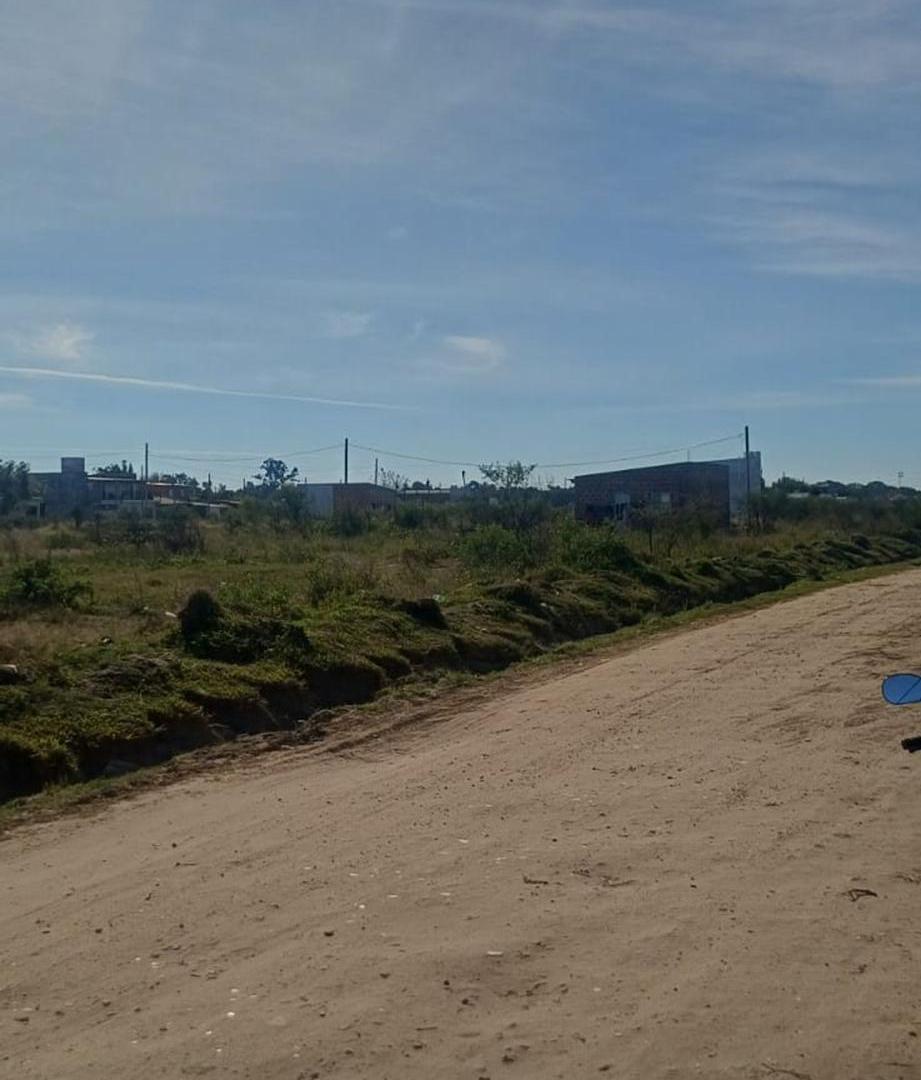 Foto de Terreno en Venta de 250m² Cerca al Hospital, Goya, imagen 4