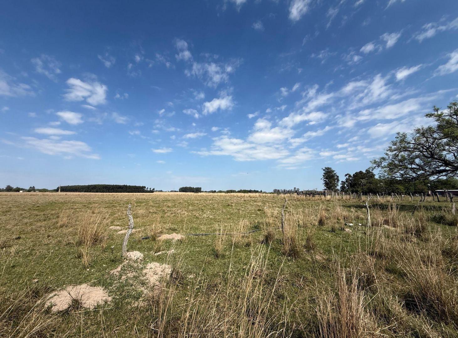 Foto de Campo de 5 has en venta Colonia Porvenir, imagen 1
