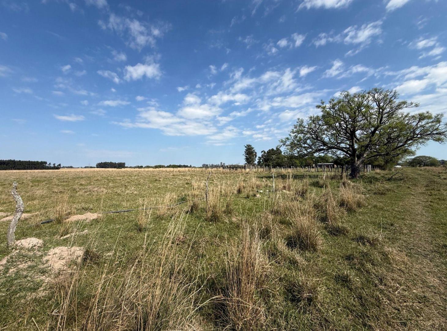 Foto de Campo de 5 has en venta Colonia Porvenir, imagen 3