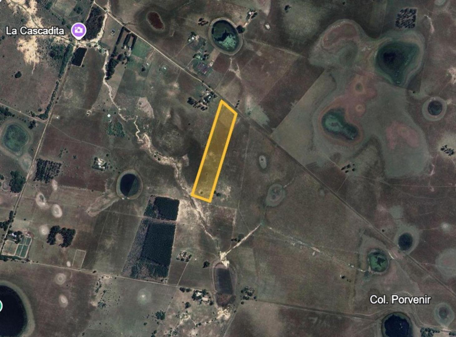 Foto de Campo de 5 has en venta Colonia Porvenir, imagen 4
