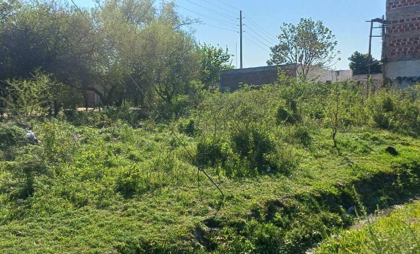 Foto de Terreno de 419 m² - Zona Sur en Goya, imagen 1
