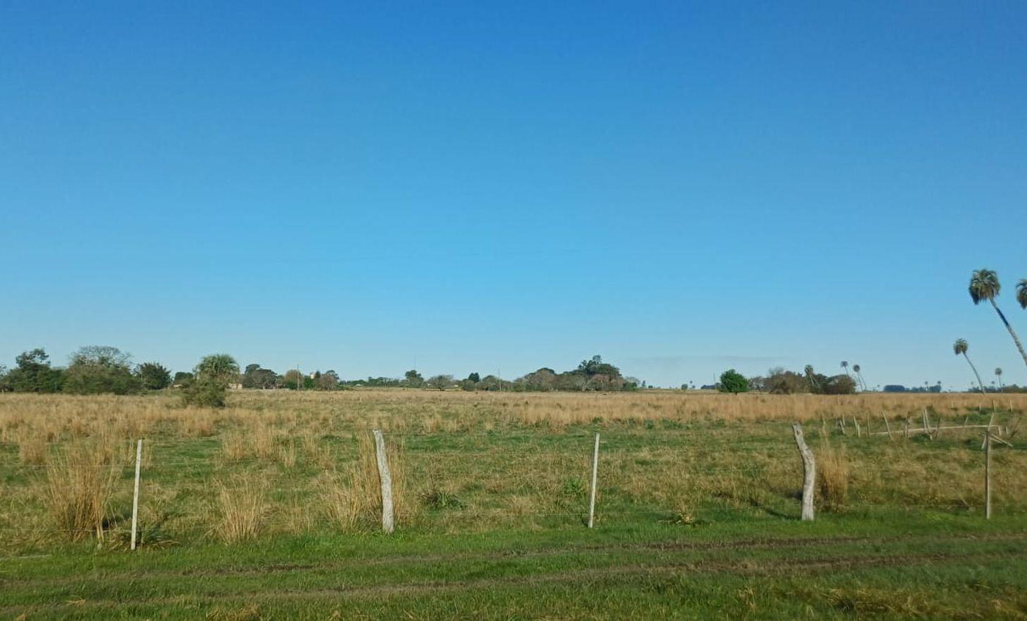 Foto de Casa de campo en Paraje Alamo, Goya Corrientes., imagen 5