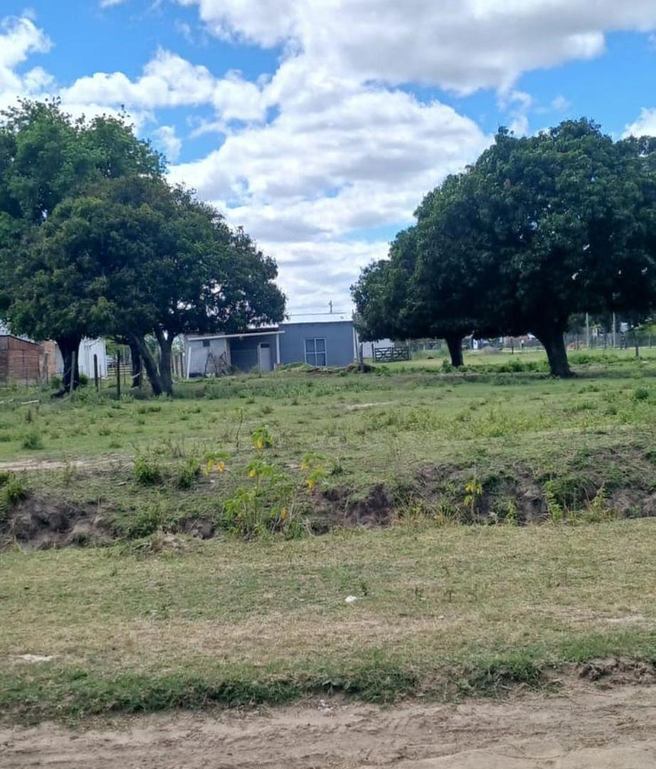Foto de TERRENO EN VENTA A METROS DEL RÍO PARANÁ – LAVALLE, imagen 2