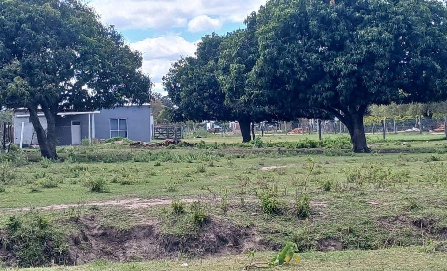 Foto de TERRENO EN VENTA A METROS DEL RÍO PARANÁ – LAVALLE, imagen 3